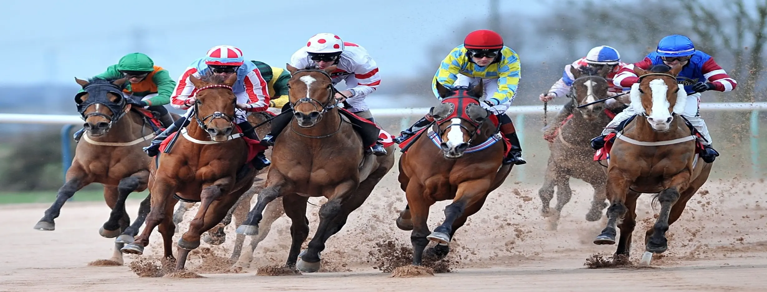 Image for Horse Racing Events